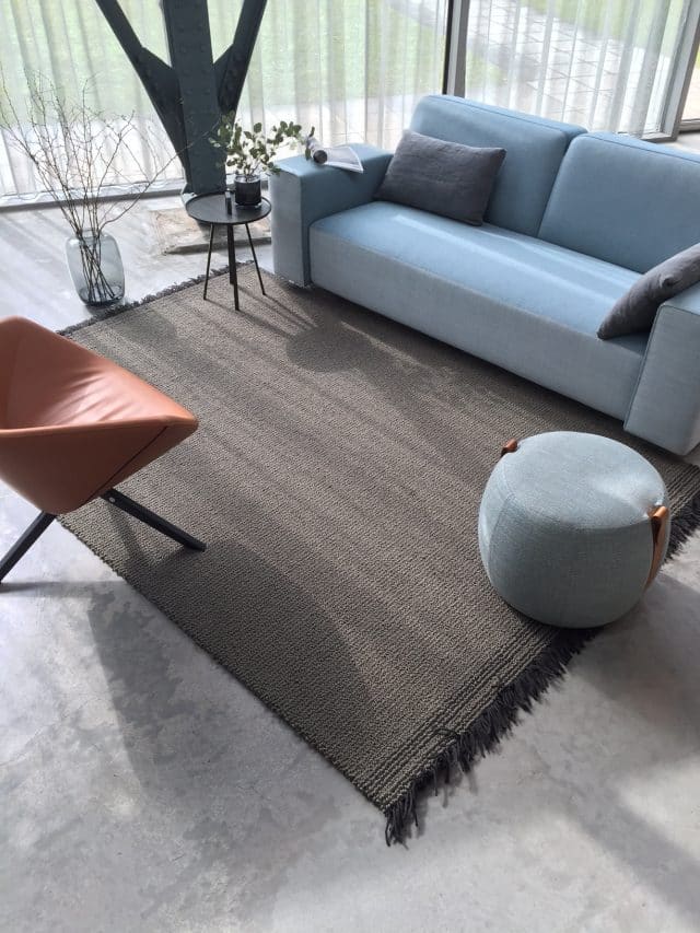 grijs bruin vloerkleed met blauwe bank en rode fauteuil